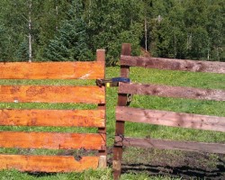 A gate in the countryside, each side of which is a different color